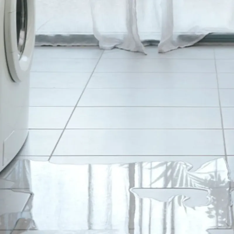 Appliance Leak Cleanup in Cape Charles, VA