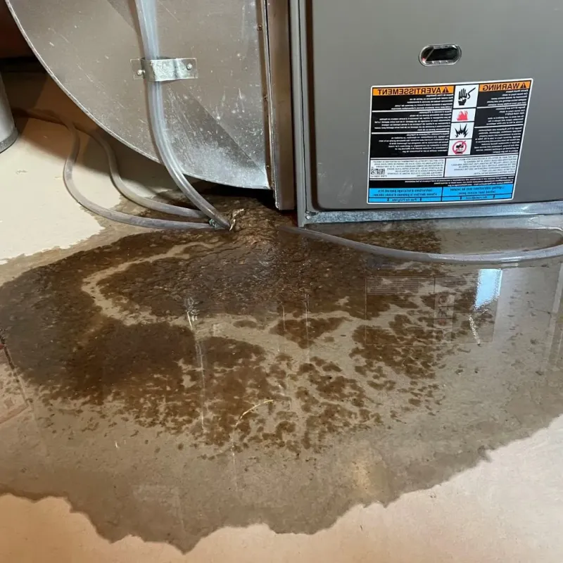 Pipe Burst and Leak Restoration in Cape Charles, VA