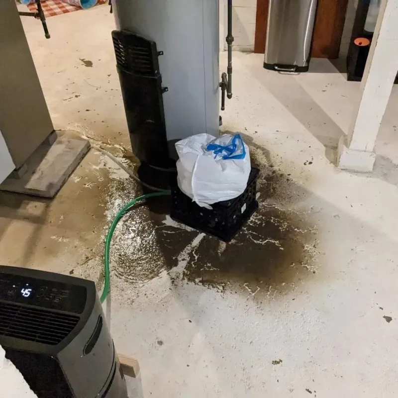 Sewage Backup Cleanup Service in Cape Charles, VA